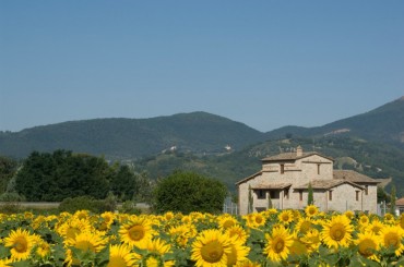 Umbria LAndscape Umbria and Cortona