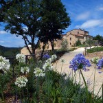 wedding-chianti-tuscany-ferrazza05
