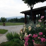 wedding-chianti-tuscany-ferrazza08