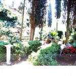 wedding-pisa-coast-1