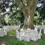 wedding-tuscan-coast8