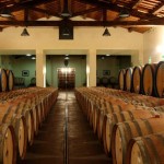 16_degustazioni