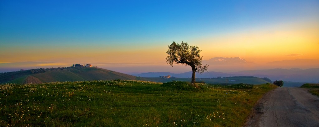 wedding in Tuscany