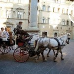 Horse Drawn Carriage Italy